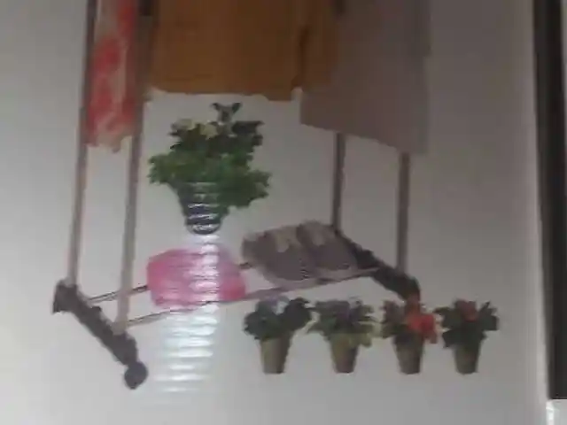 Вешалка, Душанбе