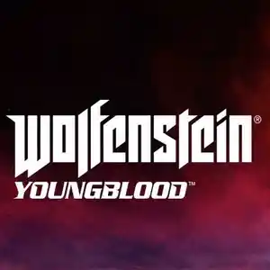 Игра Wolfenstein youngblood для компьютера-пк-pc, Душанбе