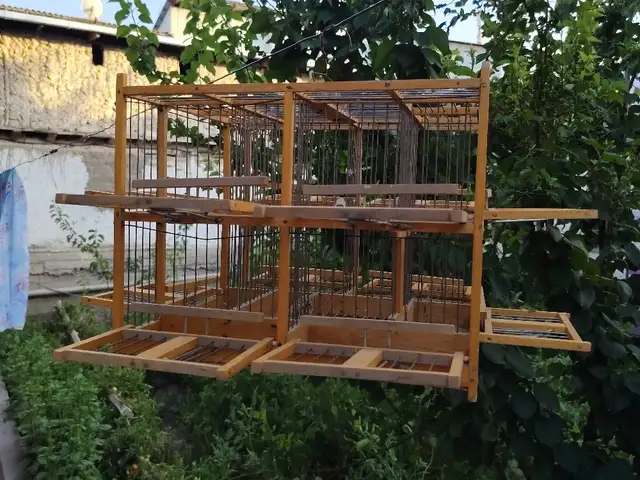 Кафас 12 автомат, Исфара