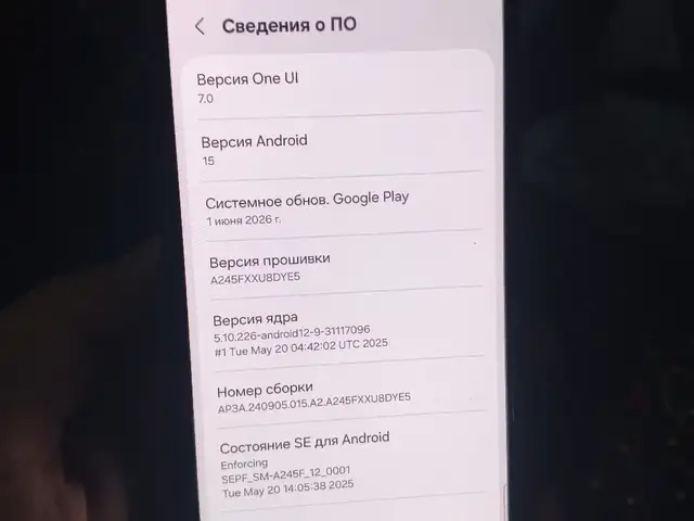 Samsung Galaxy S25, Гиссар