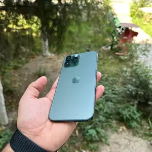 Apple iPhone 13 Pro Max, 1 tb, Alpine Green, Душанбе