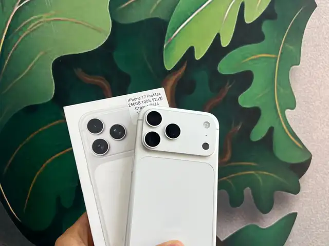 Apple iPhone 17 Pro Max, 256 gb, Silver, Душанбе