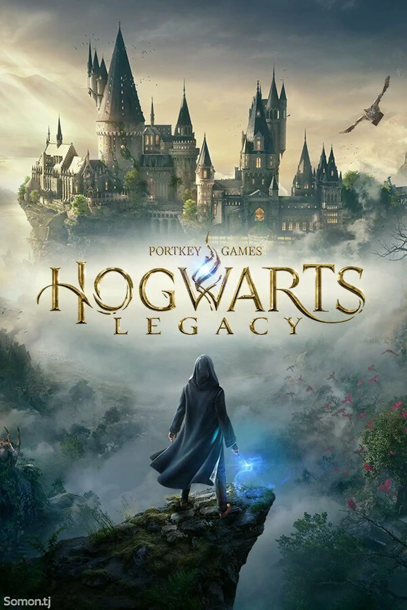 Hogwarts Legacy, Душанбе