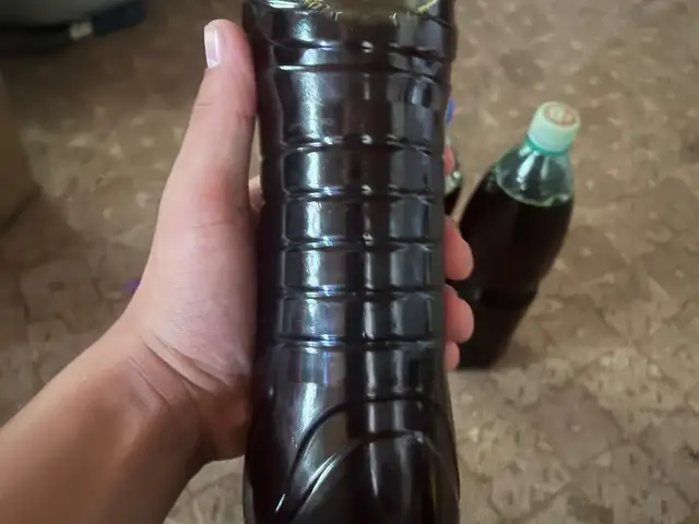 Равгани загер, Рудаки