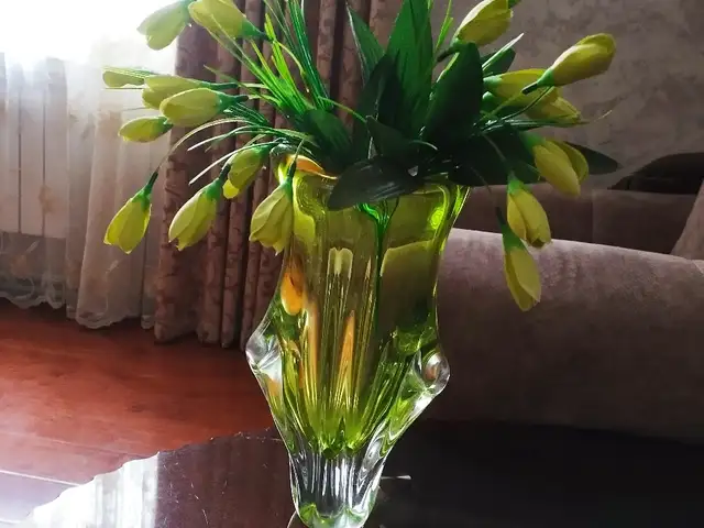 Ваза, Душанбе