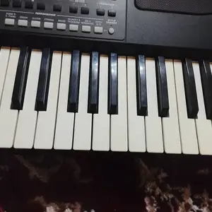 Синтезатори корг па 600, Ишкашим