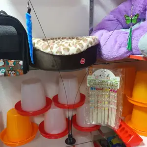 Игрушка для кошек, Худжанд