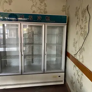 Двухдверный холодильник, Хуҷанд