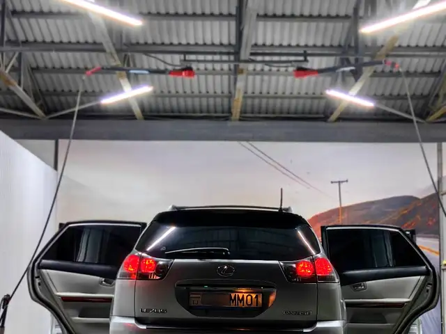 Lexus RX series