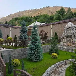 Дарахтои ороиши, Душанбе