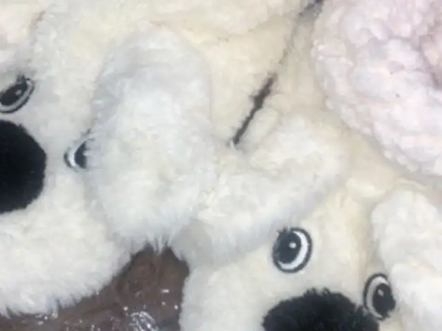 Домашние тапки, Душанбе