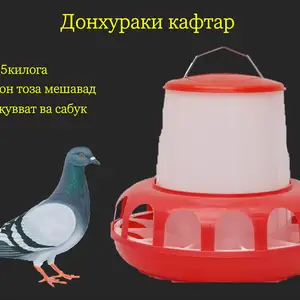 Донхураки кафтар юбкадор, Душанбе