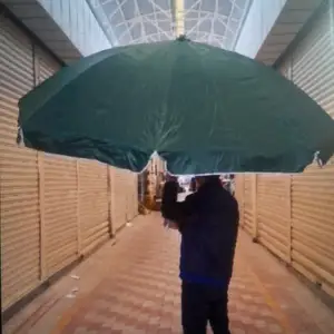 Зонтик гирд, Душанбе