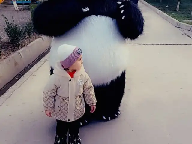 Аниматор мишка панда, Ҳисор