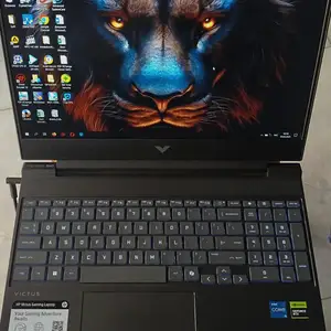 Ноутбук HP Victus, Қубодиён