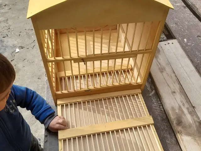 Клетка каклик, Душанбе