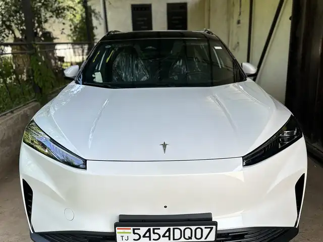 Dongfeng Hedmos 06