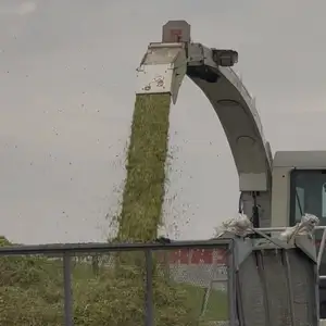 Селоси макка, Канибадам