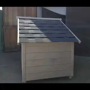 Будка для собак, Душанбе