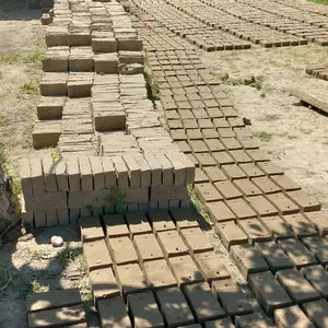 Хишти хом, Канибадам