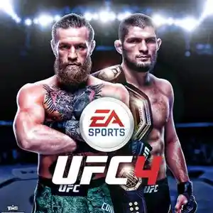 Игра UFC 4 для PS4, Душанбе