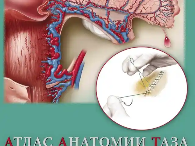 Атлас анатомии таза и гинекологической хирургии, Душанбе