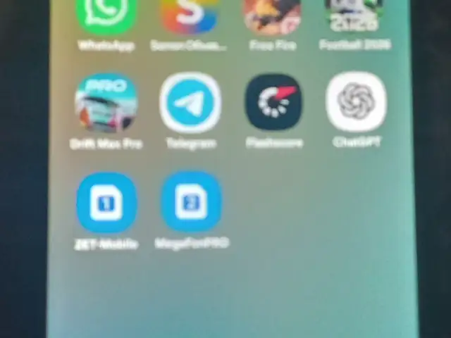 Samsung Galaxу A06, Ҳамадонӣ