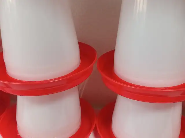 Поилка, Худжанд