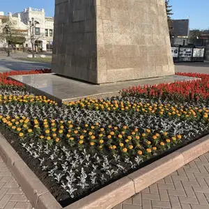 Гулхои Мавсими, Душанбе
