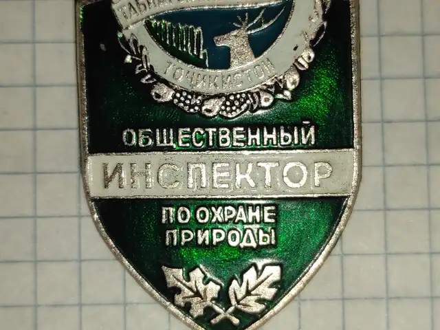Значок, Истаравшан