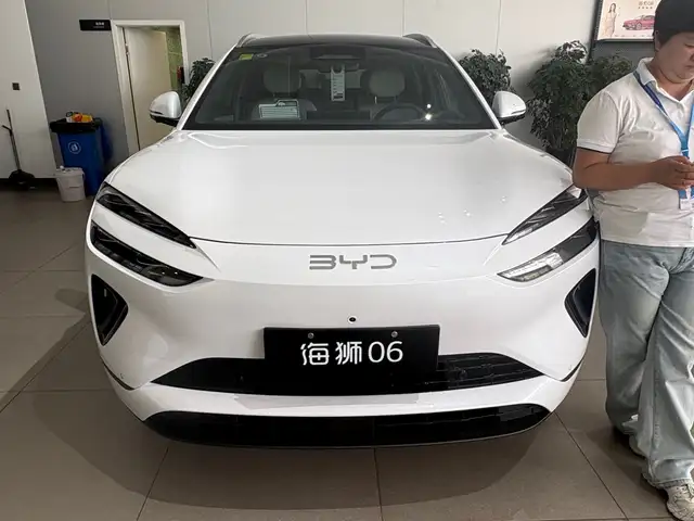 BYD Sea Lion 06