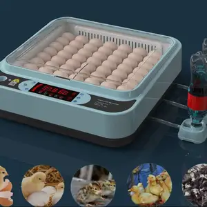 Инкубатор для 63 яиц, Душанбе