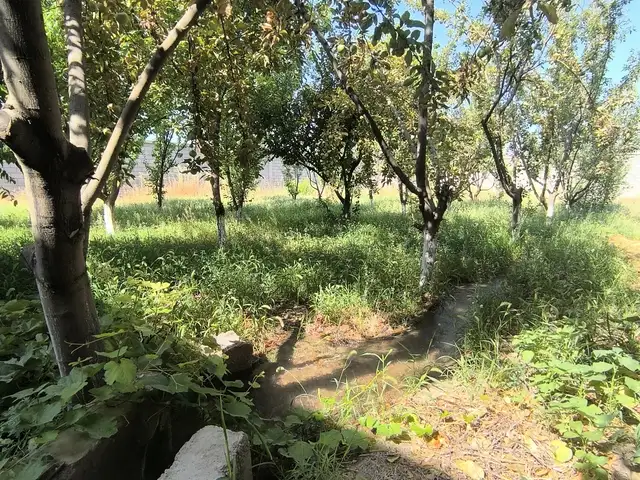 1 этажн. 6-комн. дом, 10 соток, Офтобруя, Хуҷанд