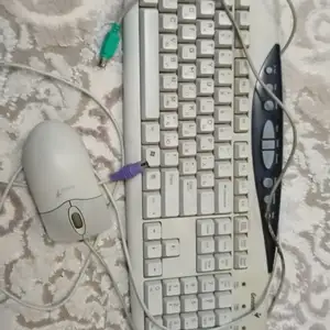 Мышь и клавиатура, Душанбе