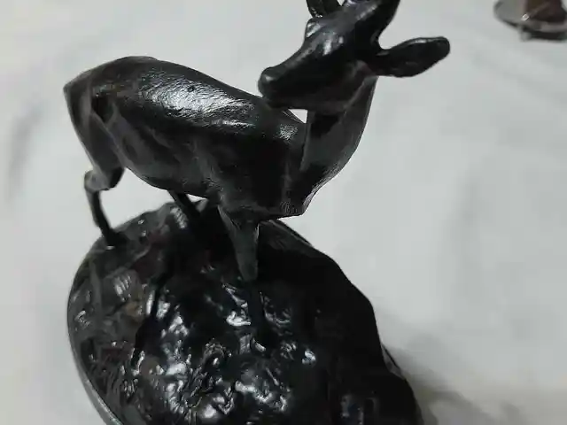 Олень касли, Душанбе