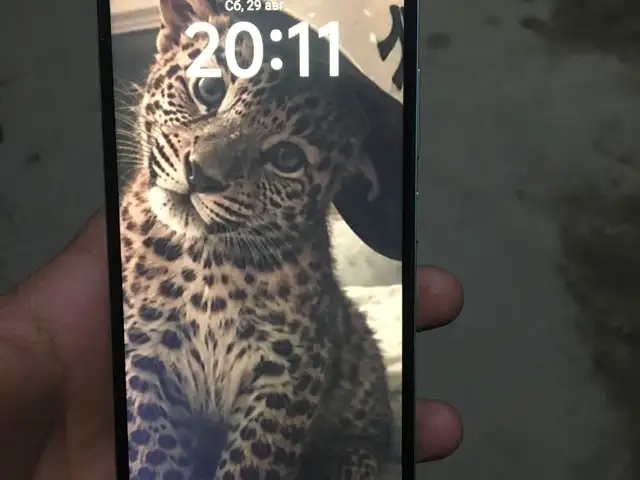 Xiаomi Redmi А5, Бустон (Чкаловск)