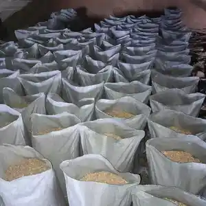 Опилка, Душанбе