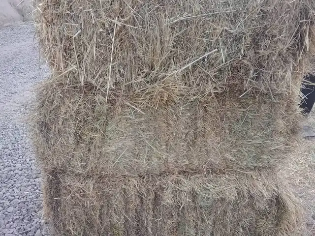 Пресс, Файзабад