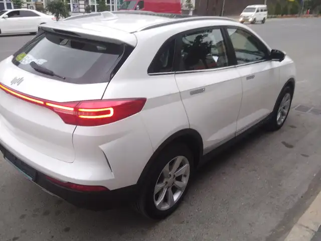 Weltmeister EX5