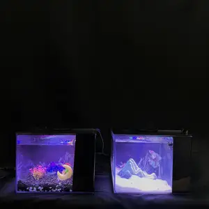 Стеклянный аквариум с боковой фильтрацией + LED-подсветкой, Душанбе
