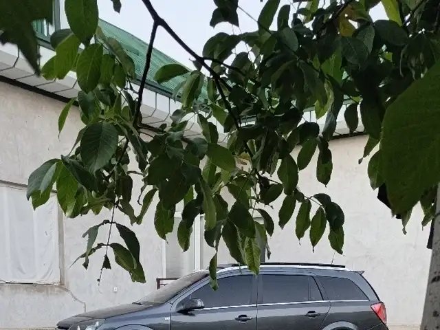 Opel Astra H