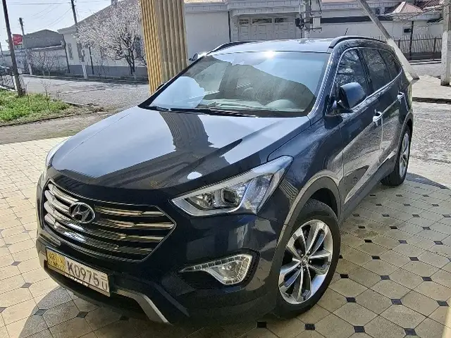 Hyundai Maxcruz