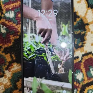 Tecno Spark 20, Гиссар