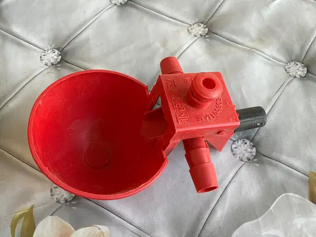Поилка барои чуча, Хуҷанд