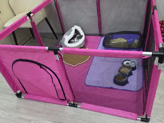 Манеж для кота, Хуҷанд
