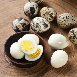 Тухми бедона, Худжанд