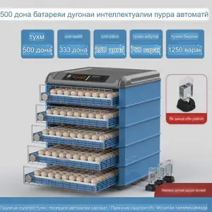Инкубатор, Душанбе