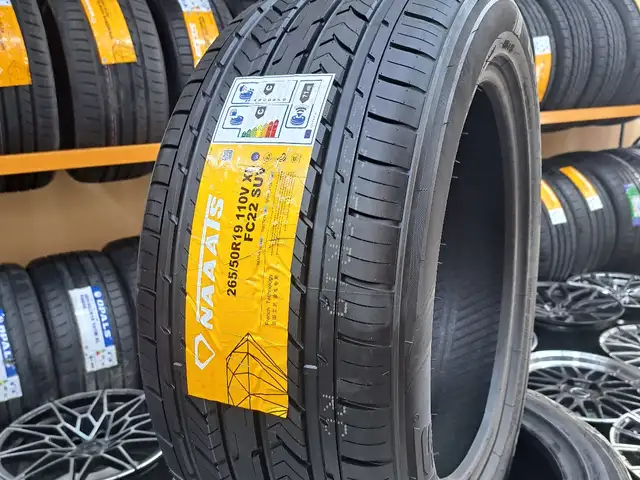 Шины R19, Душанбе