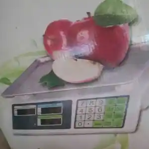 Весы, Душанбе