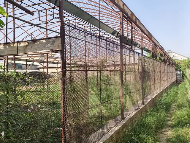 Теплица, Душанбе
